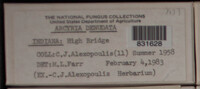 Image Associated With the Occurence